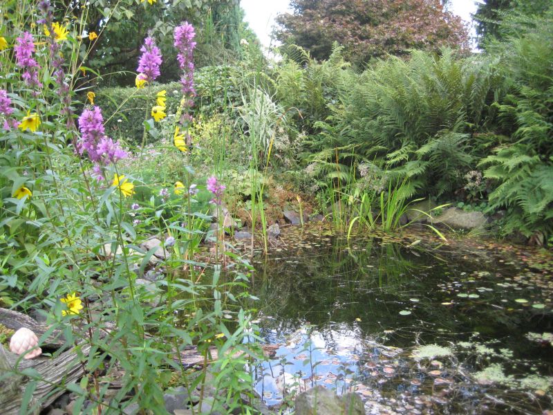 Garten in Wilkenroth
Garten in Wilkenroth
