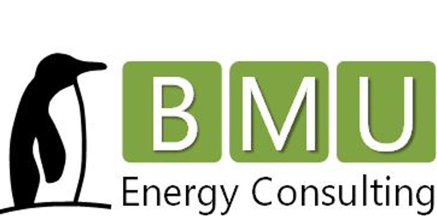 BMU Energy Consulting Logo