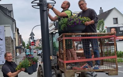 Blumenampeln an der Kaiserstraße neu bepflanzt